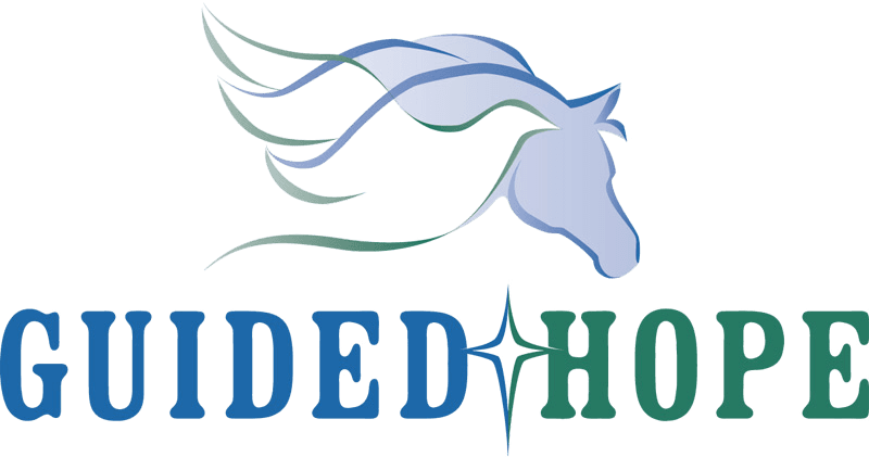 Guided Hope